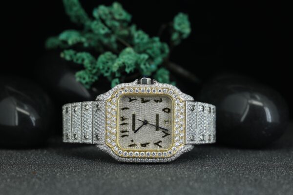 Customized Top Luxury VVS Moissanite Diamond Watch Stainless Steel Mechanical Watch For Men’s - Image 10